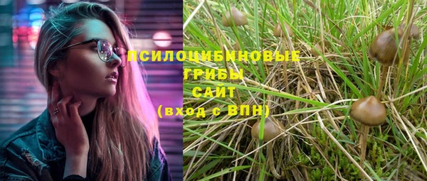 хмурый Нефтекумск