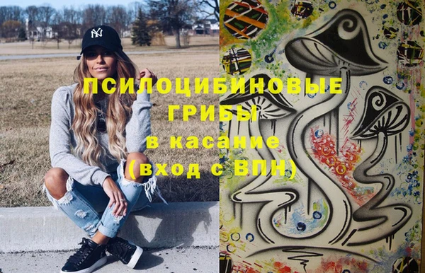 кокс Алексин