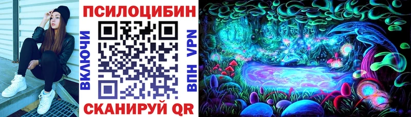 как найти закладки  Топки  Псилоцибиновые грибы Psilocybine cubensis 